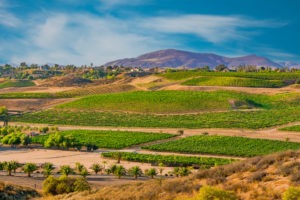 Lawsuit Loans in Temecula | Risk-Free Lending | Free Application temecula wine country